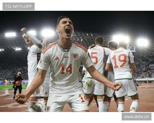 威尔士欧预赛附加赛